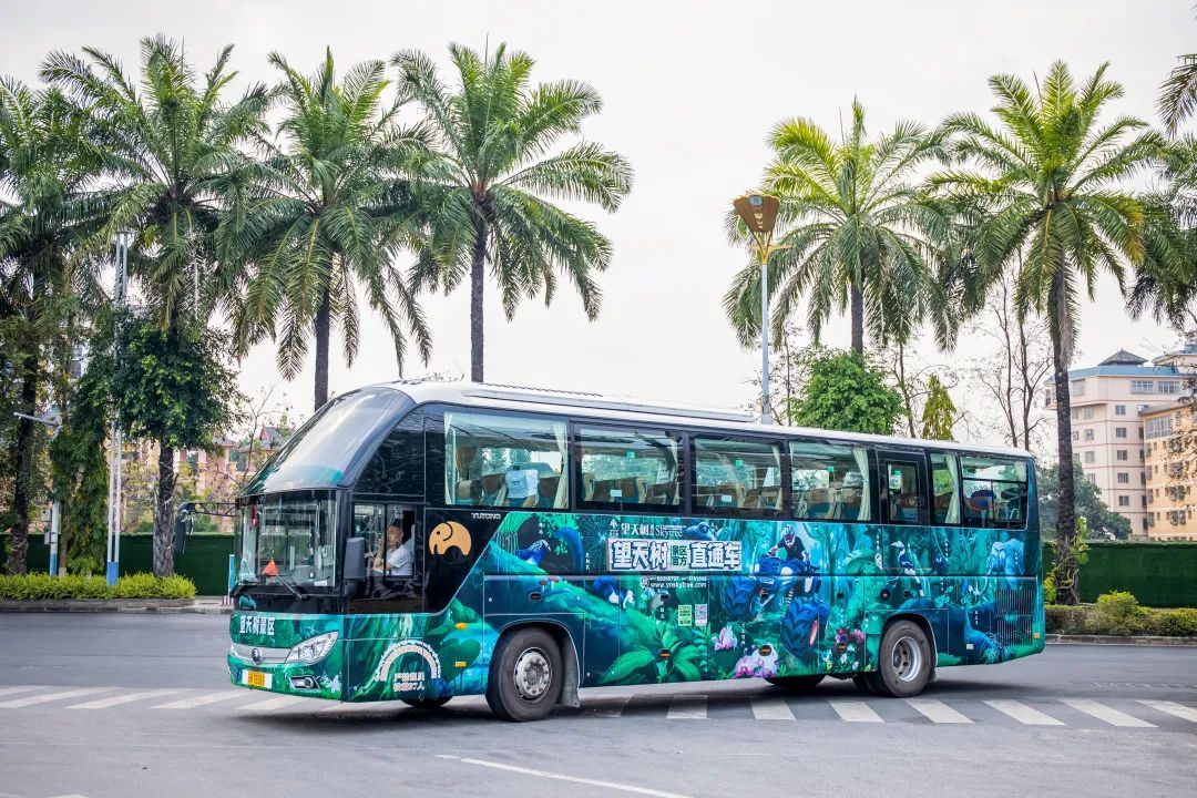 给游客更舒适的出行体验 3.jpg