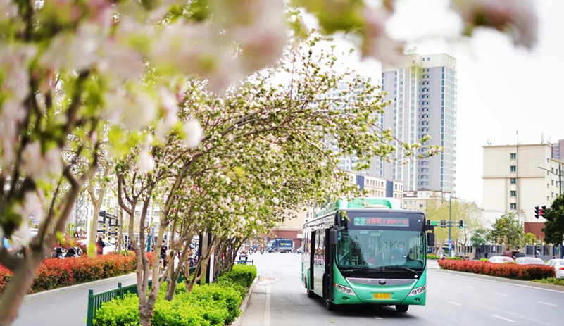 “赏花经济”绽放新活力，定制公交跑出交旅融合加速度