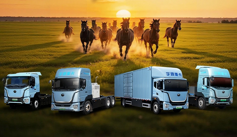 踏马迎春，蓄势待发→