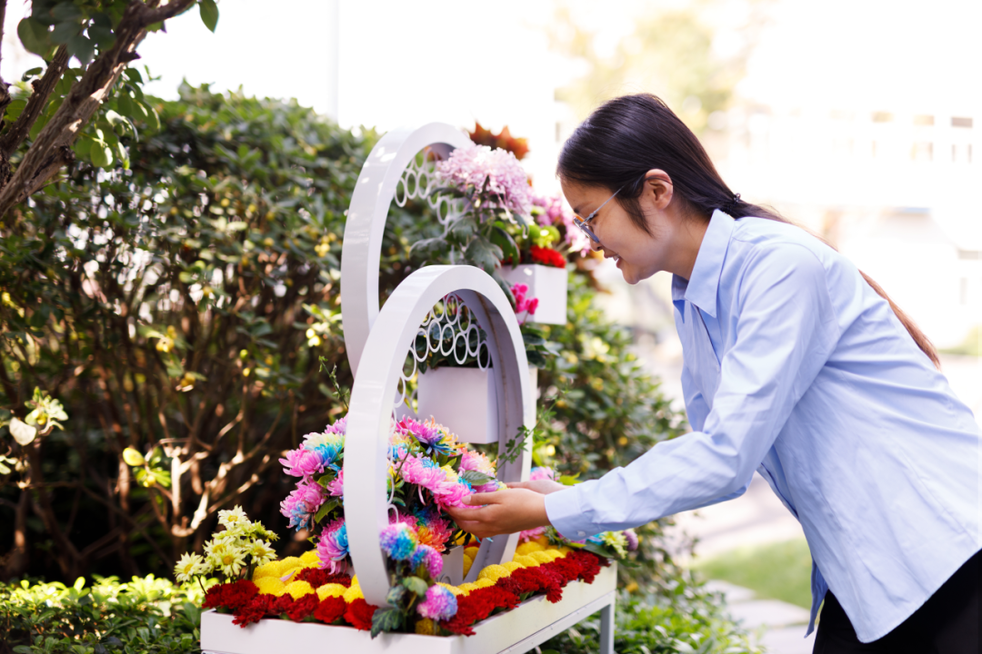 醉美菊展，宇通带你邂逅秋花烂漫
