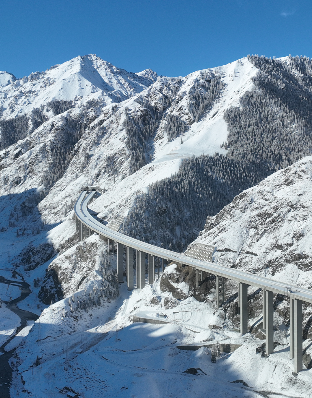 乌尉高速全线通车,宇通担当首发车辆见证历史时刻! 图片