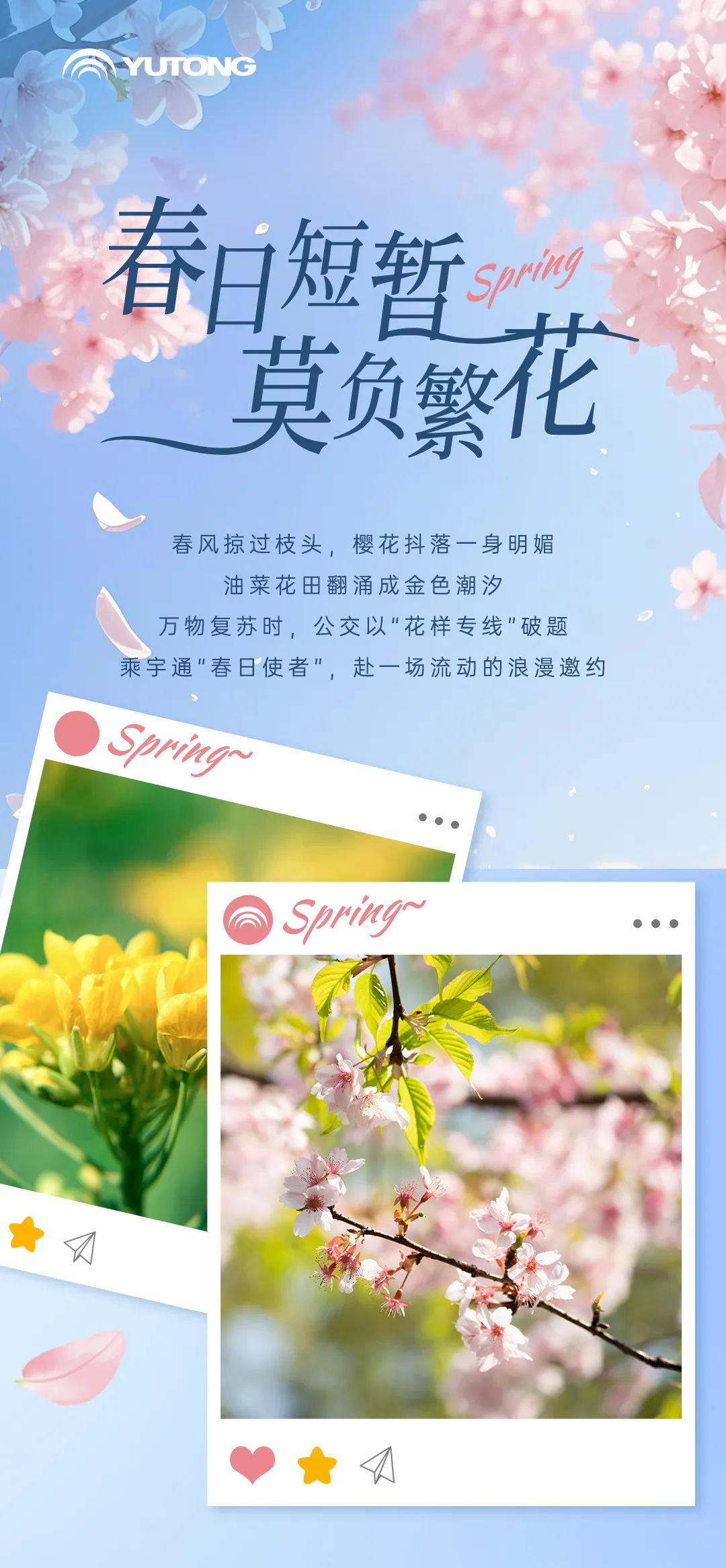 乘宇通花样公交，打卡浪漫花路！