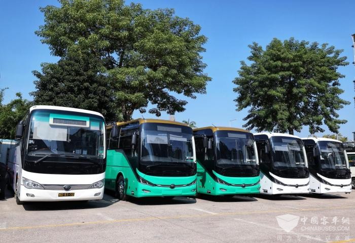 奏响濠江绿色篇章 宇通助力大湾区旅游业阔步向“新”