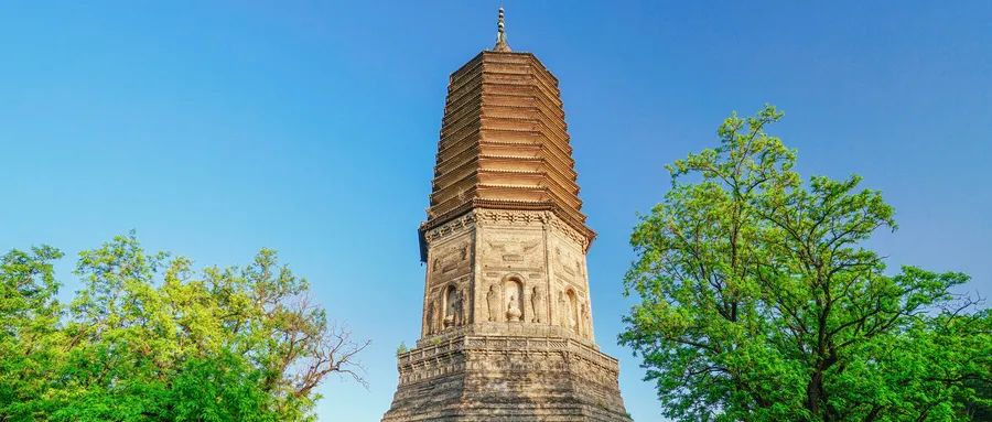 辽阳大乘：以新能源转型重塑客运竞争力