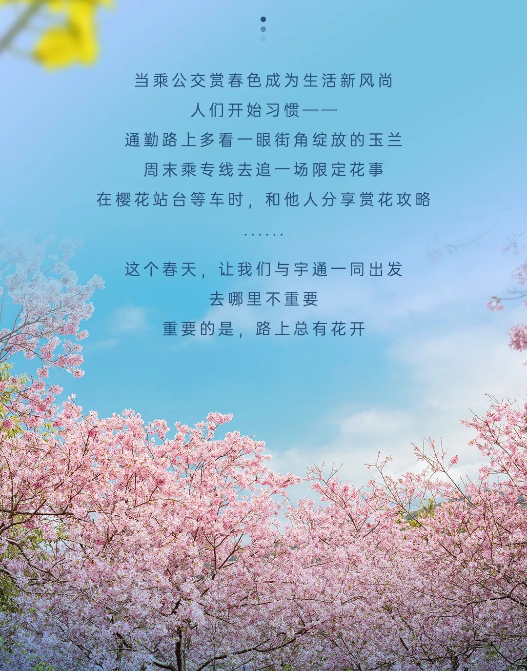 乘宇通花样公交，打卡浪漫花路！