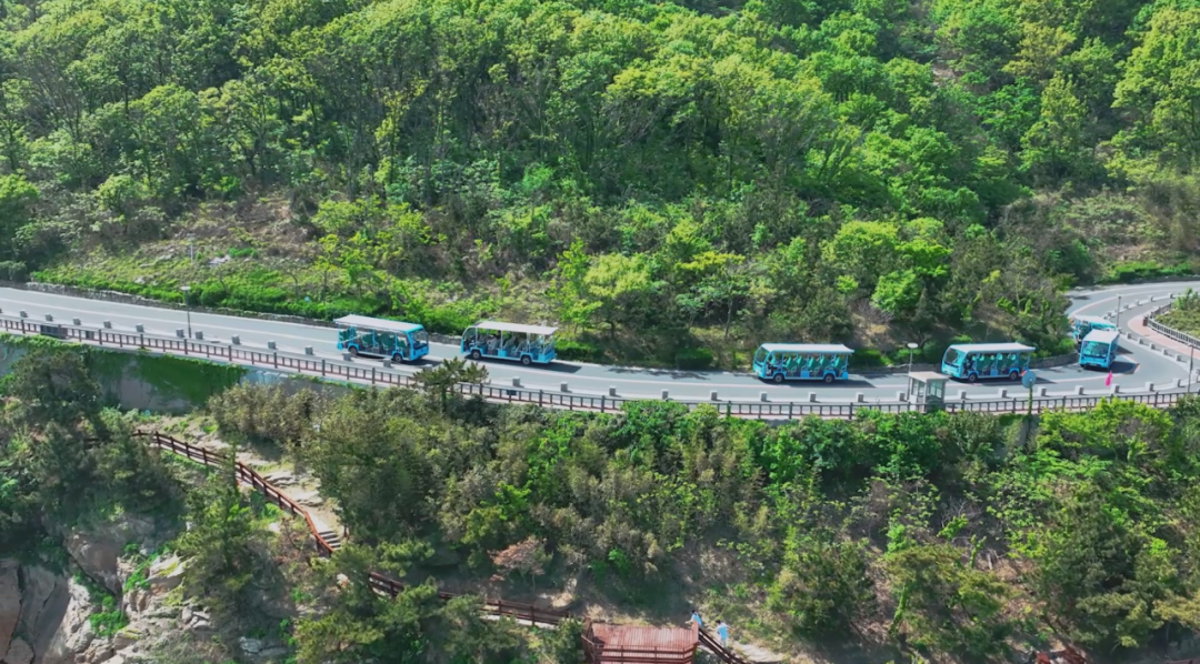 当“智电融合”遇见文旅出行:宇通观光车为景区车辆运营装上“智慧大脑” 图片