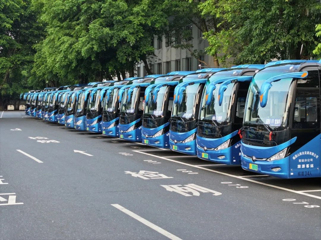 十一出行新趋势！高端游解码旅行松弛感