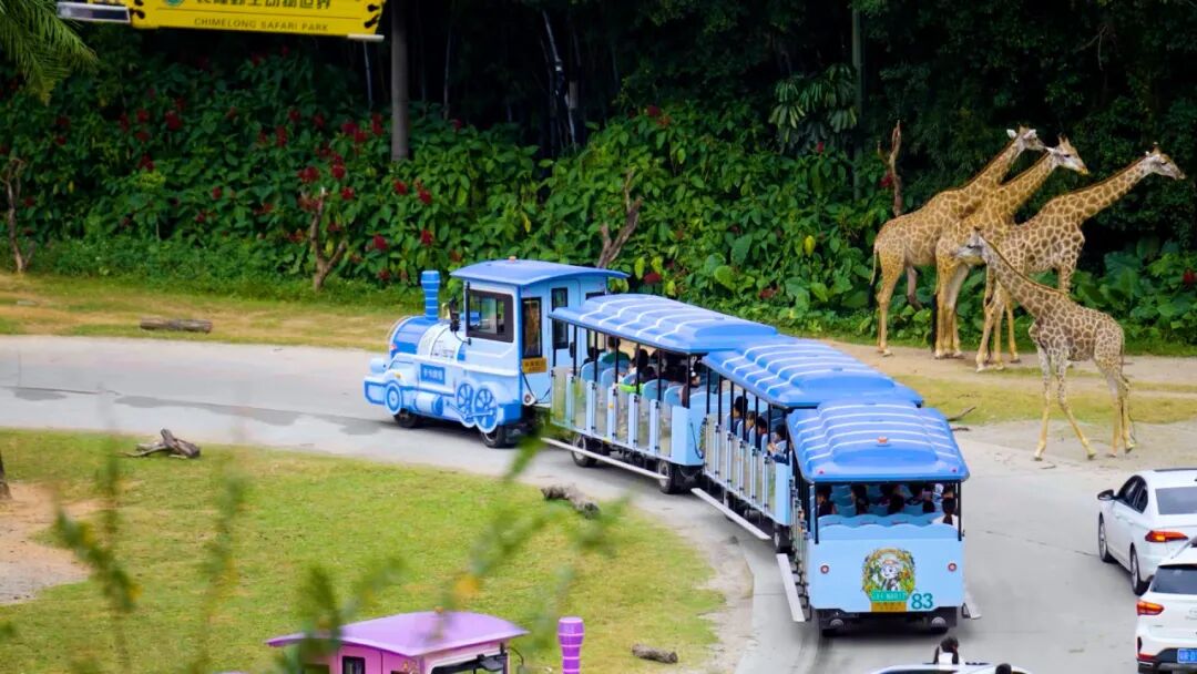 相约北京|宇通观光车邀您共赴2026国际游乐设施设备博览会 图片