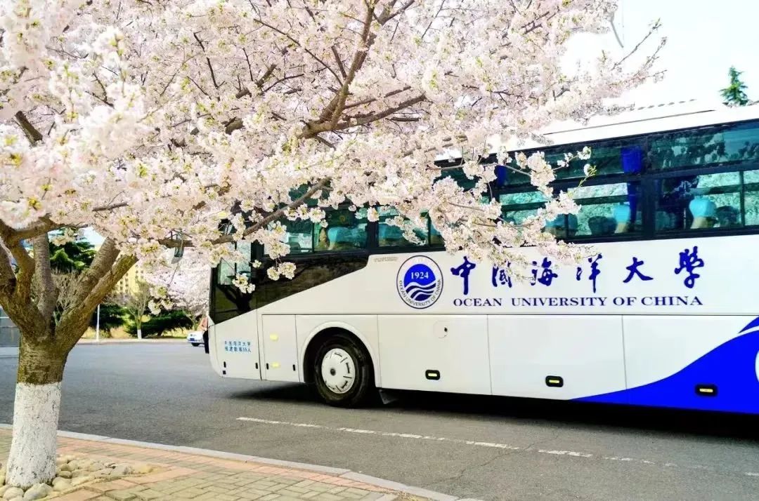 清华北大同款校车长什么样？