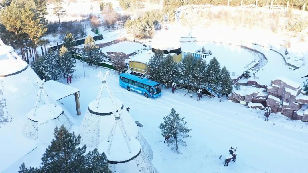 冰雪带“热”冬天，旅游业迎来别样春天